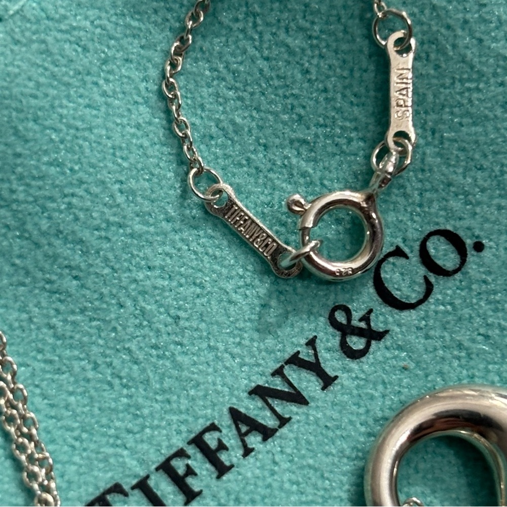 FINAL PRICE! Auth Tiffany & Co. Elsa Peretti Eternal Circle Pendant Necklace - Picture 5 of 12